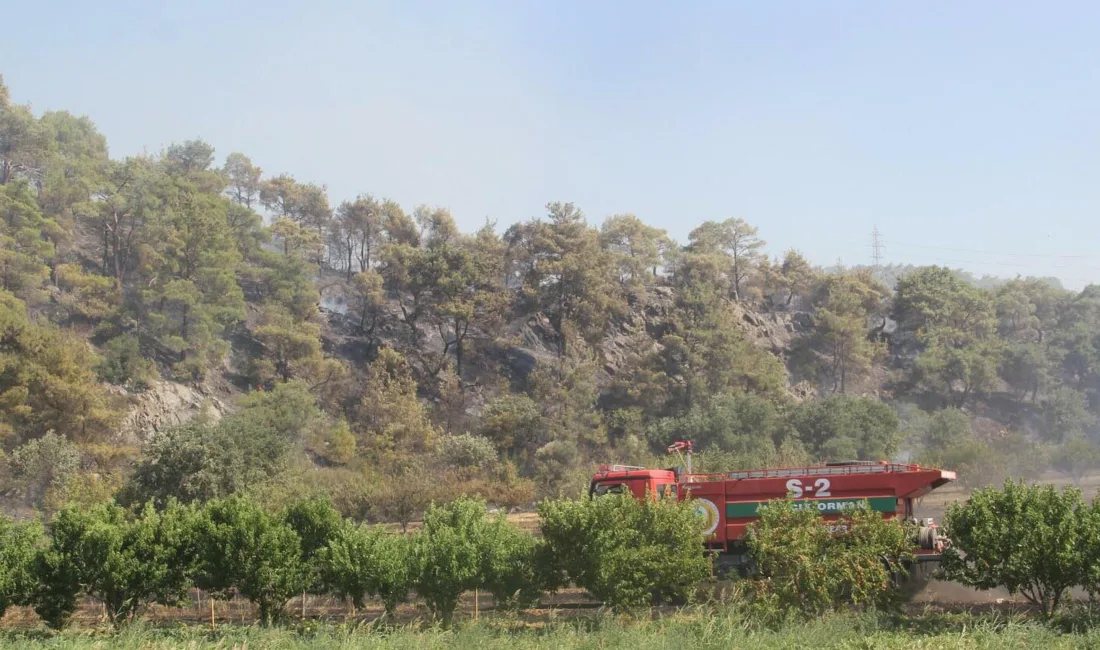 Çanakkale Valiliği, orman yangınları riski nedeniyle 1 Haziran’dan itibaren 15