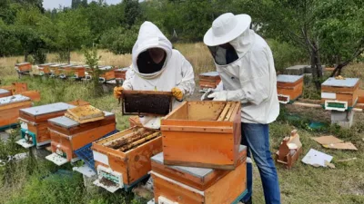 Gizem KARADAĞ/ANKARA, – ANKARA Üniversitesi Veteriner Fakültesi Dekanı Prof. Dr.