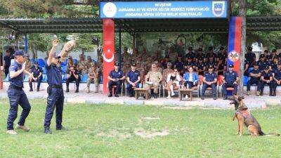 Nevşehir’de 19 Mayıs etkinlikleri çerçevesinde Jandarma At ve Köpek Eğitim