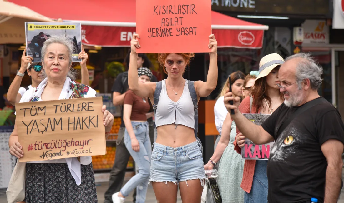 Antalya’da, hayvanseverler sokak hayvanlarının sahiplenilmemesi durumunda ‘uyutulmasına’ izin veren yasal