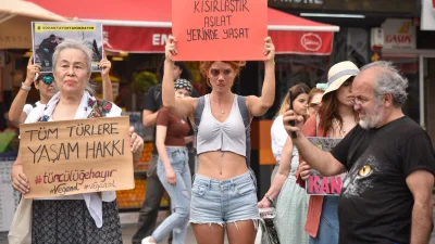 Antalya’da, hayvanseverler sokak hayvanlarının sahiplenilmemesi durumunda ‘uyutulmasına’ izin veren yasal