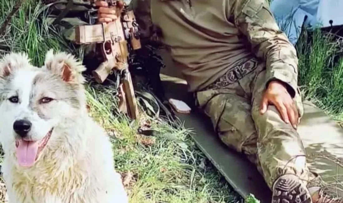 Özkan AYDIN/ IĞDIR, – PENÇE- Kilit Operasyonu bölgesinde teröristler tarafından