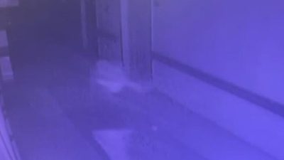 Beylikdüzü’nde bir özel hastanede yaşanan olayda, hemşire Selen Bilgin’in, doktor