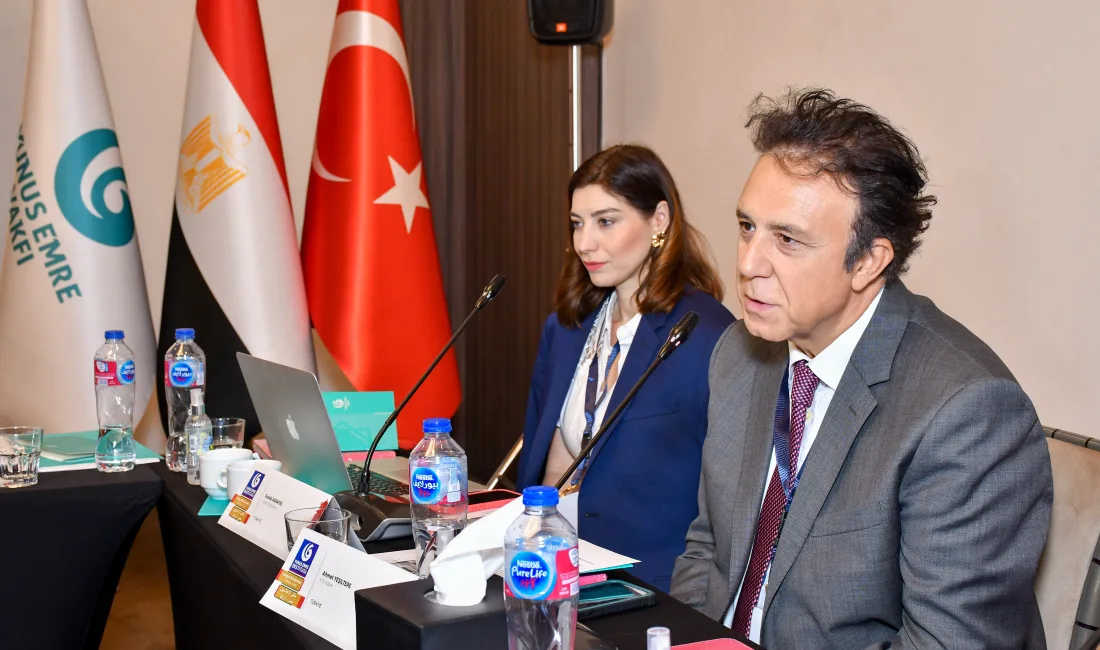 Yunus Emre Enstitüsü, medya alanında Türkiye ile Mısır arasındaki iş