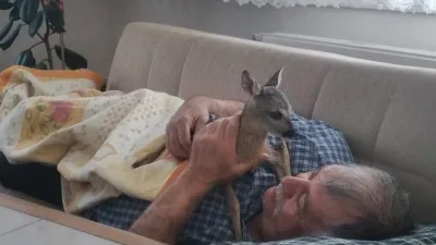 Uğur YİĞİT/ SİVAS, – SİVAS’ın Koyulhisar ilçesinde yaşayan Erçiş Ülker