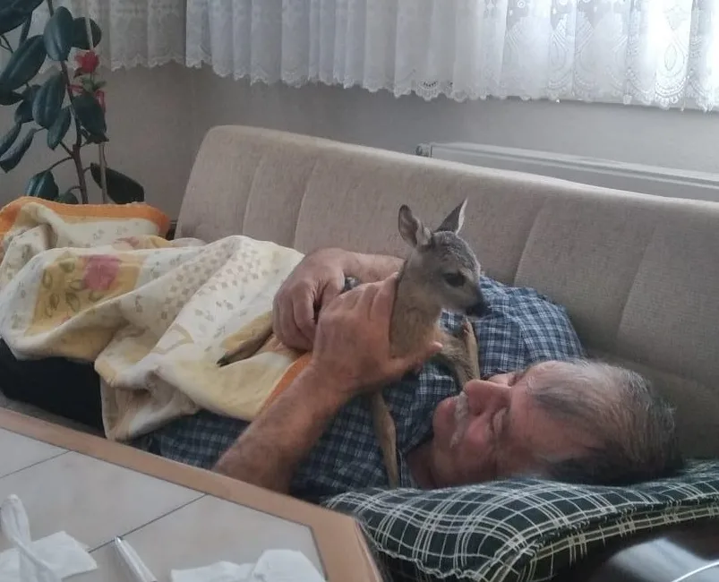 Uğur YİĞİT/ SİVAS, – SİVAS’ın Koyulhisar ilçesinde yaşayan Erçiş Ülker