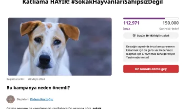 Hayvanseverlerin talebi, sokak hayvanlarının öldürülmesi yerine kısırlaştırma seferberliği başlatılması ve