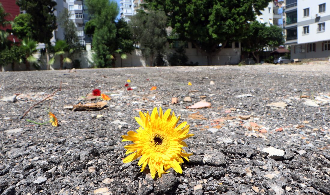 Adana’da geçtiğimiz yıl yaşanan depremde yıkılan Mete Apartmanı davasında tanık