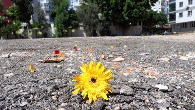 Adana’da geçtiğimiz yıl yaşanan depremde yıkılan Mete Apartmanı davasında tanık