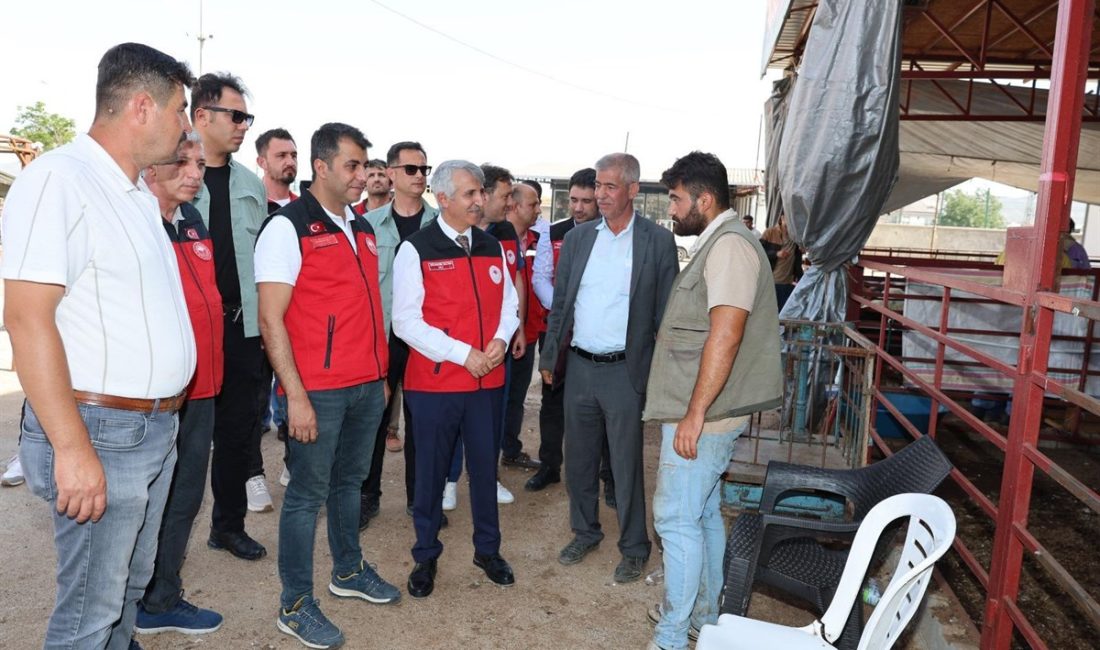 Kahramanmaraş Valisi Mükerrem Ünlüer, Kurban Bayramı öncesi Kahramanmaraş Canlı Hayvan