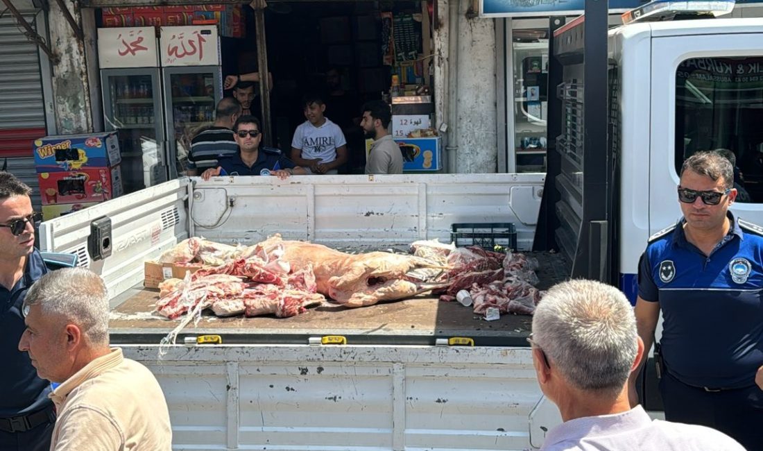 Adana’da denetimler sırasında kaçak hayvan kesimi yapan bir iş yerine