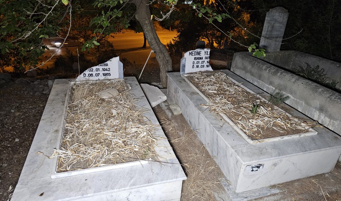 Adana’da Karslılar Mezarlığı’nda meydana gelen olayda, kimliği belirsiz bir veya