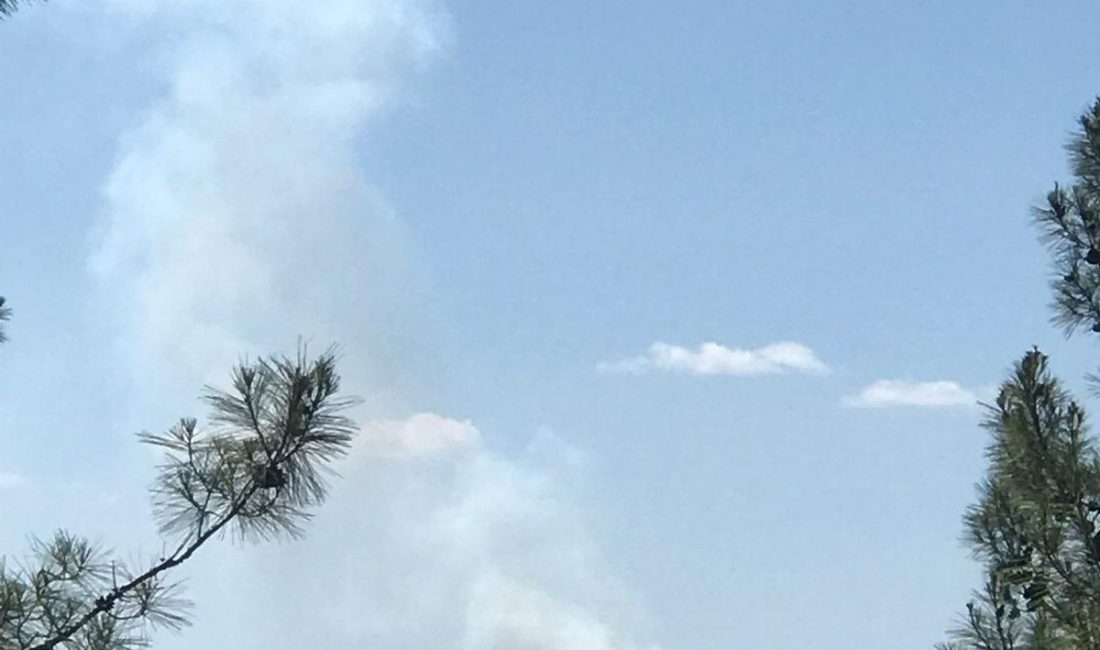 Adana’nın Feke ilçesinde orman yangınına hava ve karadan müdahale ediliyor.