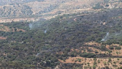 Gaziantep’in Nizip ilçesinde çıkan yangın, fıstık ve zeytin bahçelerinin bulunduğu