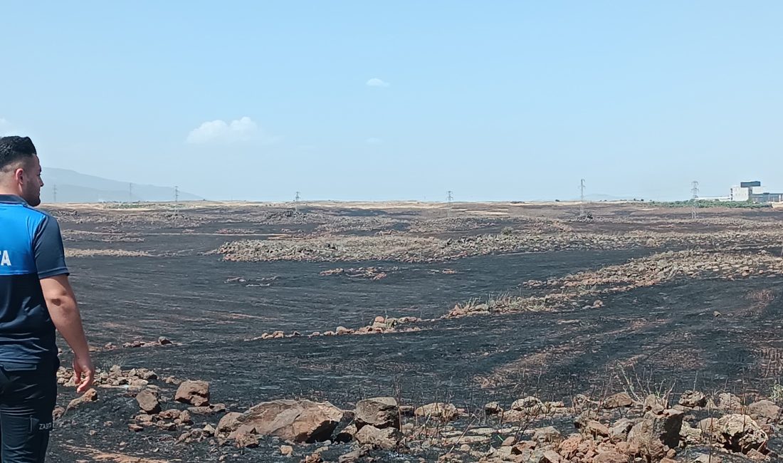 İslahiye ilçesindeki tarım arazisinde dün çıkan anız yangını 15 bin