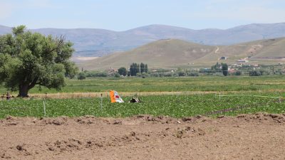 Kayseri’de meydana gelen ve 2 pilotun hayatını kaybettiği SF-260D tipi