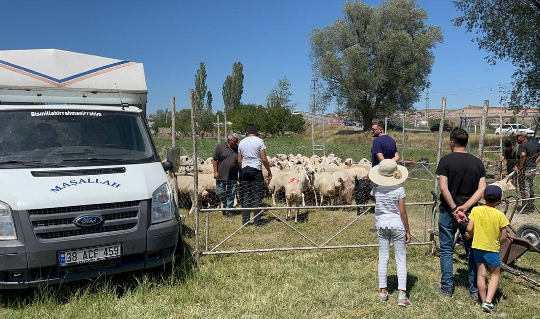 Kayseri’de bir besici, kurbanlık satışından elde ettiği 535 bin TL’yi