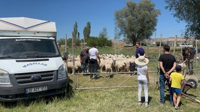 Kayseri’de bir besici, kurbanlık satışından elde ettiği 535 bin TL’yi