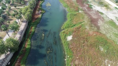 Adana’da Seyhan Nehri, köprü inşaatı nedeniyle suyunun kesilmesi sonucu yosunlarla