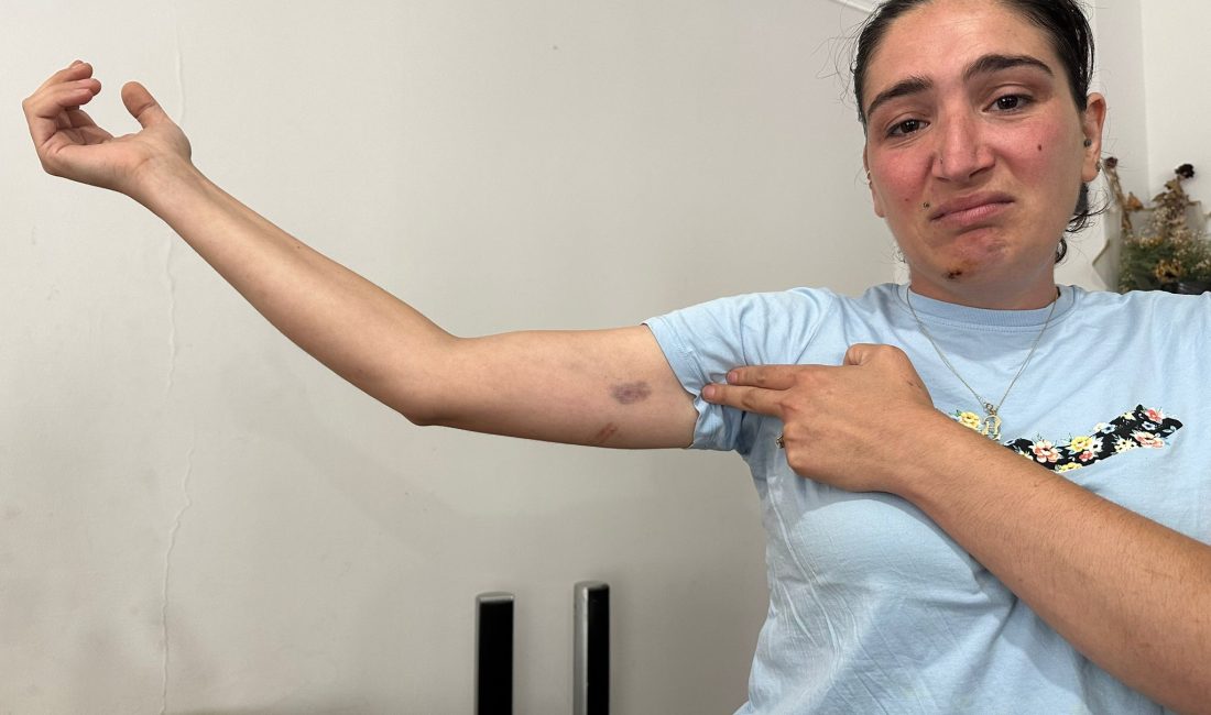 Adana’da bir kadının yöresel yiyeceklerin satıldığı dükkana yapılan saldırıyla ilgili