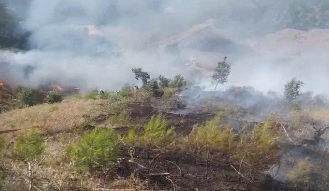 Kahramanmaraş’ta  çıkan orman yangını kontrol altına alındı. 