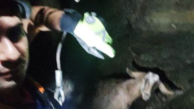 Kahramanmaraş'ta bir keçi, düştüğü su kuyusundan itfaiye ekiplerince kurtarıldı. 