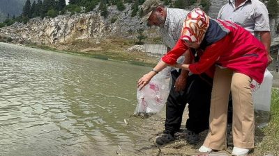 Kadirli Savrun çayı ve göletlerine 19 bin 800 Sazan balığı