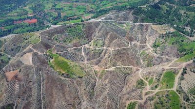 Kahramanmaraş Orman Bölge Müdürlüğü’nden yapılan açıklamada, “2023 yılında Kahramanmaraş'ın Dulkadiroğlu