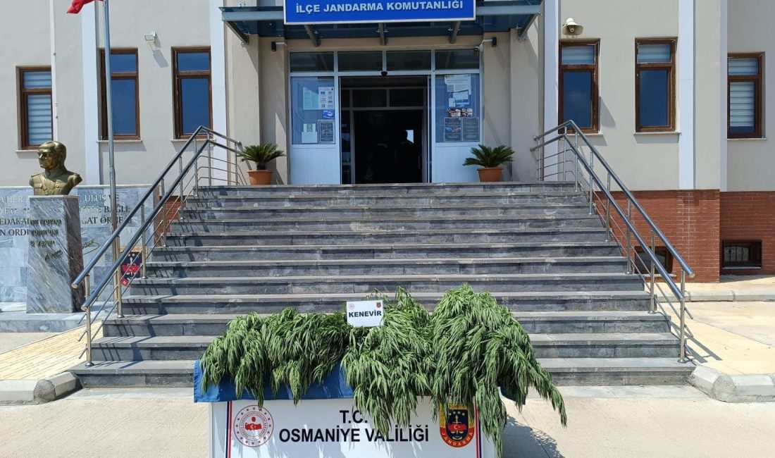 Kadirli İlçe Jandarma Komutanlığının aralıksız olarak uyuşturucu ile mücadele faaliyetlerine
