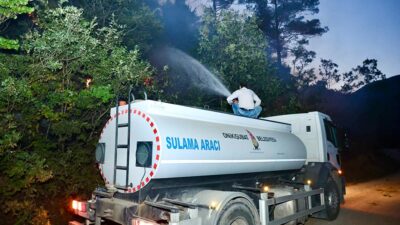 Onikişubat Belediyesi ekipleri, Suçatı Mahallesi’ndeki Fırnız Mesire Alanı yakınlarında çıkan