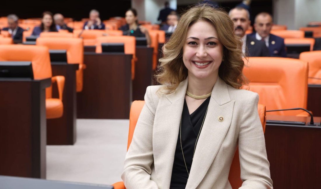 Milliyetçi Hareket Partisi Kahramanmaraş Milletvekili Zuhal Karakoç Dora, Türkiye’nin karşı