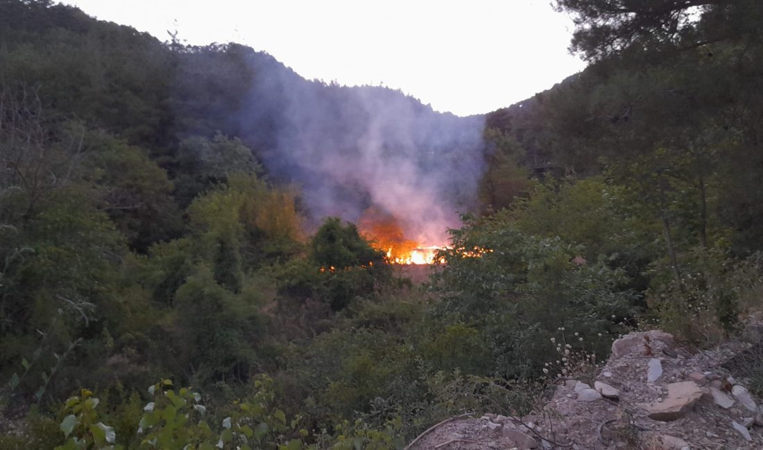 Feke’de Meyve Bahçesinde Yangın Çıktı, Ormana Sıçramadan Söndürüldü Adana’nın Feke