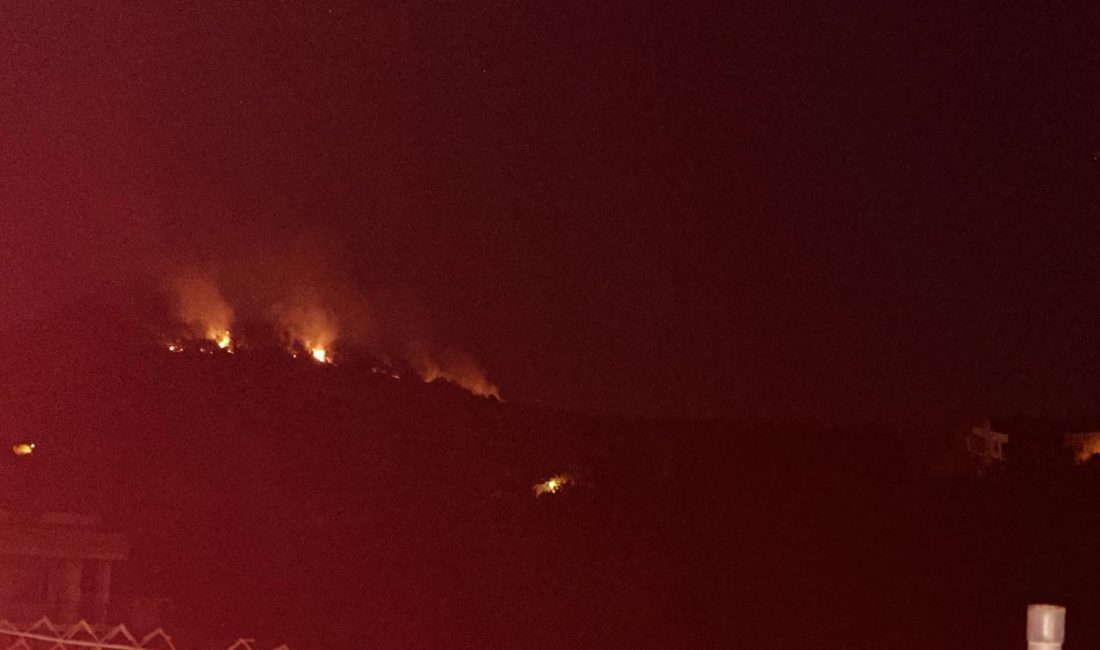 Kozan ilçesine bağlı Turgutlu Mahallesi’ndeki ormanda henüz belirlenemeyen bir sebepten