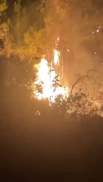 Kozan ilçesinde çıkan orman yangınına ekipler hızla müdahale ediyor. Yaşanan