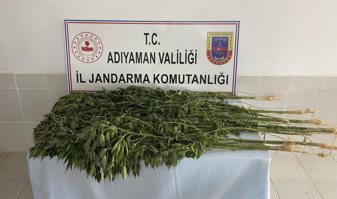 Adıyaman’da jandarma ekiplerince düzenlenen uyuşturucu operasyonunda 28 kişi yakalandı. İl