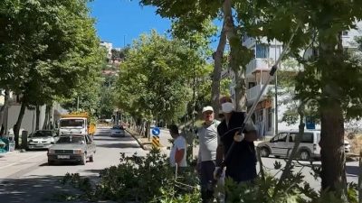 Andırın Belediyesi, Fen İşleri Müdürlüğü ile Park ve Bahçeler Müdürlüğüne