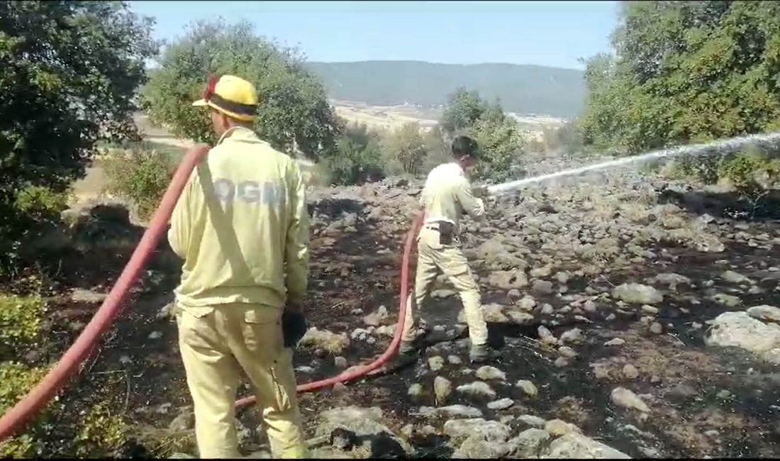 Kahramanmaraş’ta meydana gelen orman yangını, ekiplerin 1,5 saatlik müdahalesi sonucunda