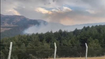 Kahramanmaraş’ta meydana gelen orman yangınına karadan ve havadan müdahale ediliyor.
