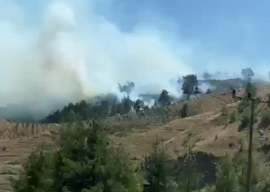 Kahramanmaraş’ta bir orman yangını meydana geldi. Yangın, Yenidemir Mahallesi’ndeki çam