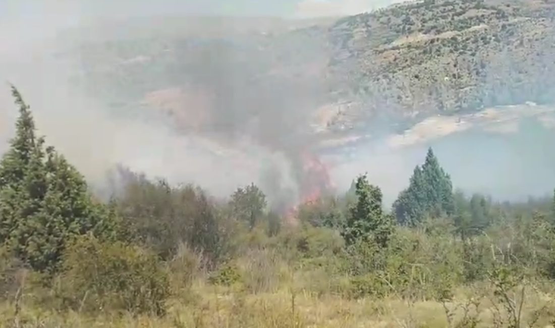 Yahyalı ilçesinde orman yangını söndürüldü Kayseri’nin Yahyalı ilçesinde çıkan orman