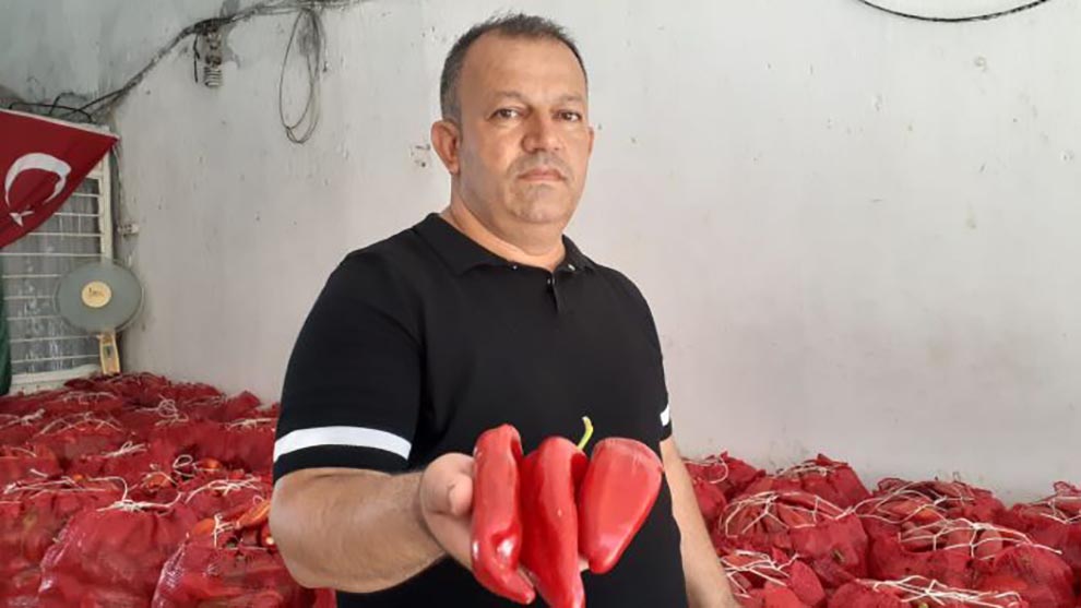 Kadirli ilçesinde salçalık biber satışları başladı. Biberin kilosunun geçen yılla