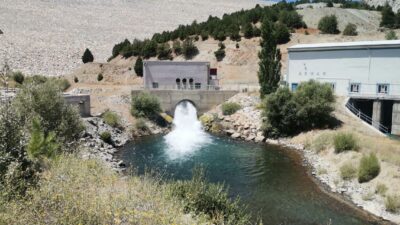 Kahramanmaraş’ın Afşin, Elbistan ve Ekinözü ilçelerinde  yer alan 321
