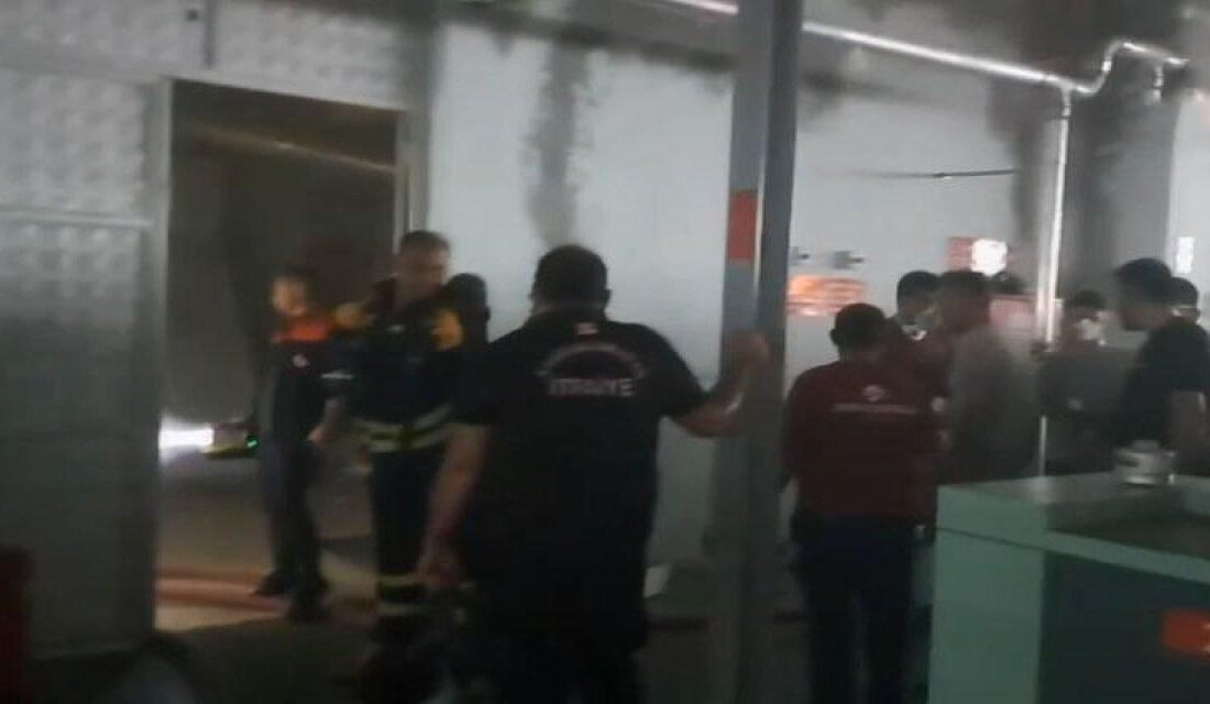 Kahramanmaraş'ın Türkoğlu ilçesinde yaşanan fabrika yangını maddi hasara neden oldu.