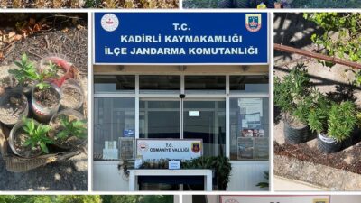 Kadirli İlçe Jandarma Komutanlığı ekipleri uyuşturucu tacirlerine geçit vermiyor. 31