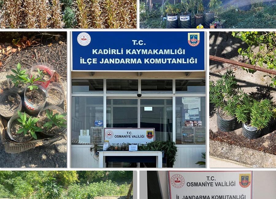 Kadirli İlçe Jandarma Komutanlığı ekipleri uyuşturucu tacirlerine geçit vermiyor. 31