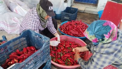 Kahramanmaraş’ta sofraları süsleyerek yemeklere tat veren ve kentin geleneksel lezzetlerinden