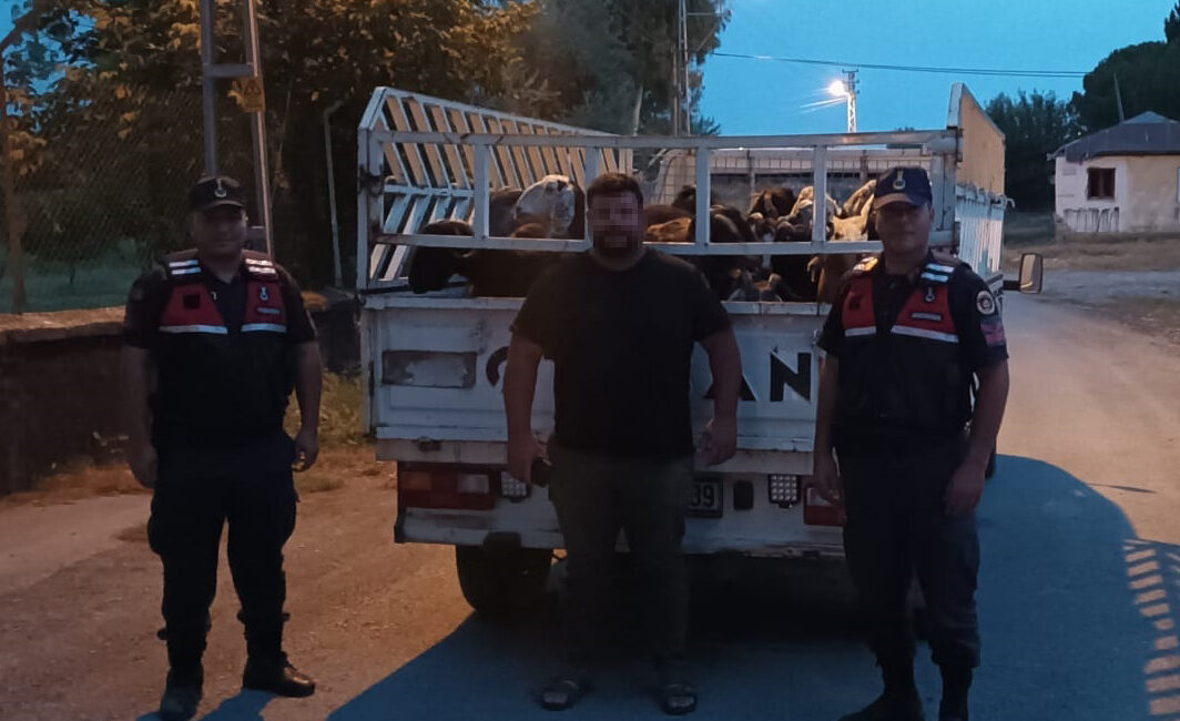 Kozan ilçesinde bir çoban, patronuna ait olan 60 koyunu çalarak