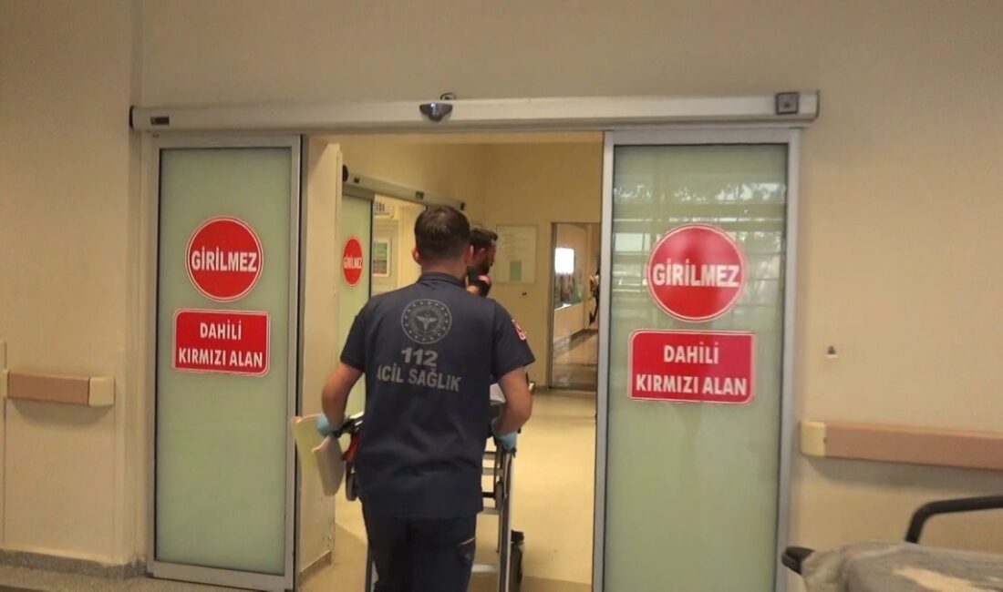 Adıyaman’da 5 yaşındaki Deniz Turan, oyun oynarken Atatürk Baraj Gölü’ne