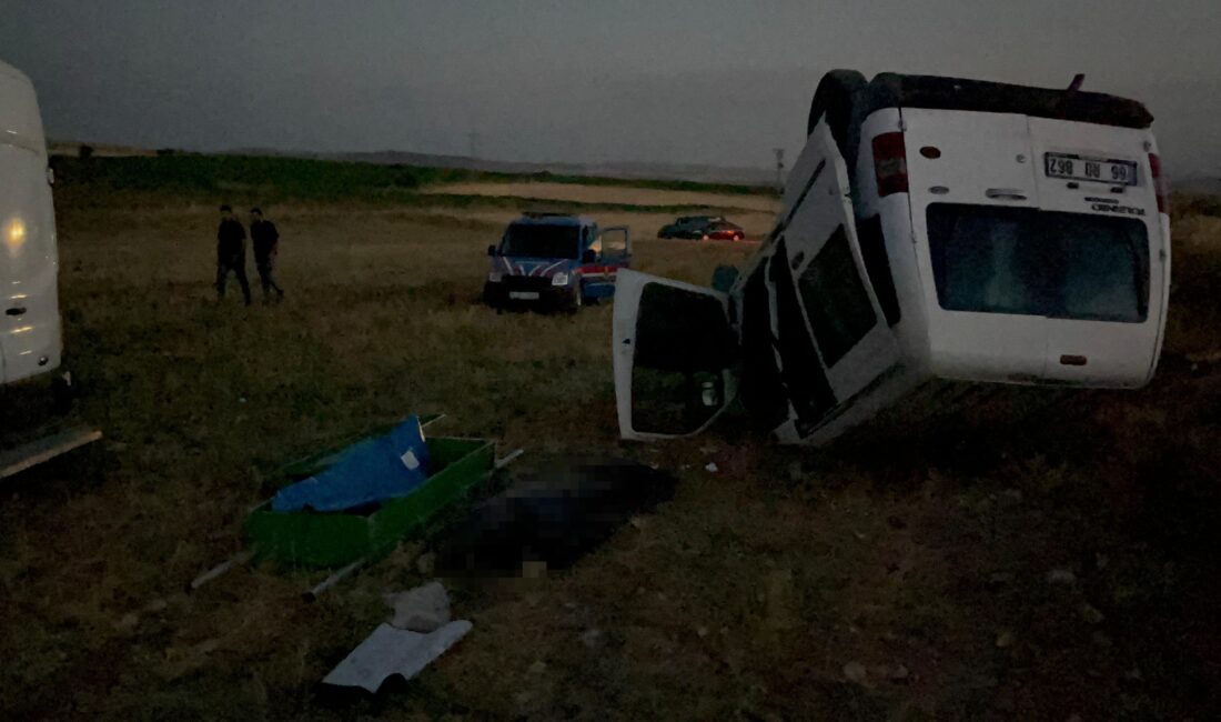 Felahiye ilçesinde meydana gelen trafik kazasında hafif ticari aracın şarampole