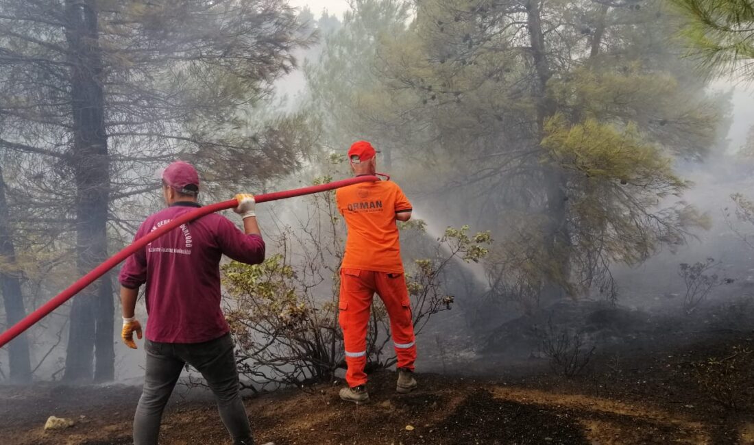 Kahramanmaraş’ta başlayan orman yangını hala devam ediyor. Kontrol altına alınabilmesi